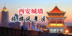 凸轮久久自慰中国陕西-西安城墙旅游风景区